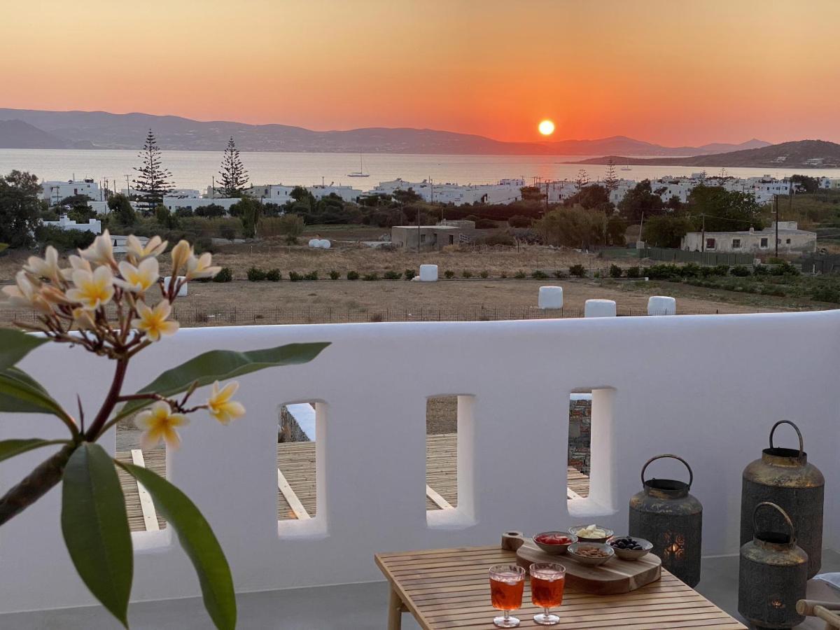 Villa Ypsilon Naxos - Luxury Holiday House With Amazing Sea View & Private Pool Agia Anna  Exterior foto